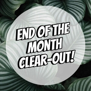 End of the Month Clear-Out!